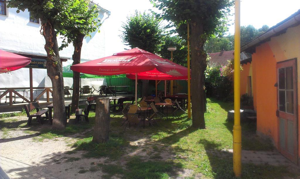 Penzion Modrý Jelen Vidnava Esterno foto